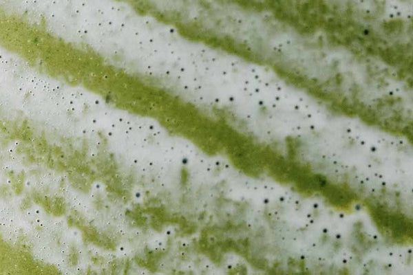 Matcha: Nem só de café vive o barista